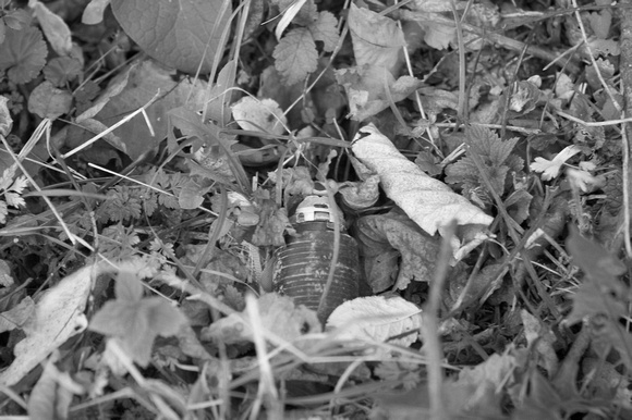 Death in a small package - a cluster bomb